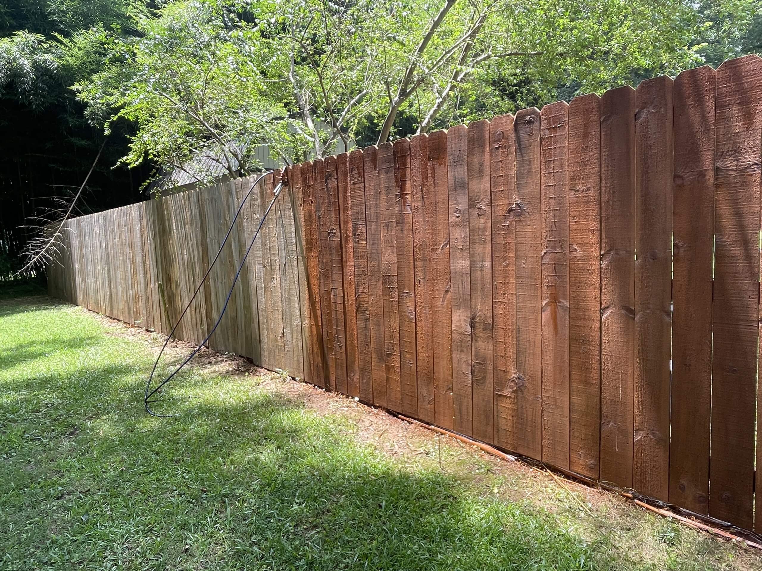 wood fence stained halfway to see the difference.