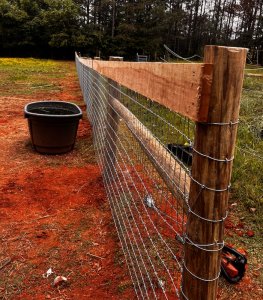 Horse Fence with no climb wire.
