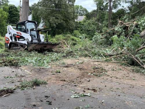 Tree Clean Up After a Huge storm in Gaston County