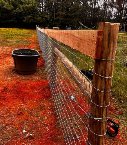 Horse Fence with no climb wire.