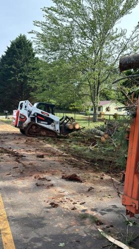 Tree Fall on a Chain Link Fence | Clean up near Cherryville, NC.
