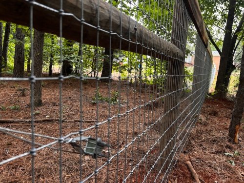 horse fence no climb wire