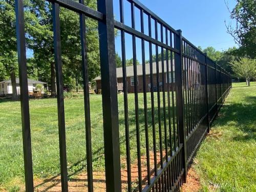 puppy-picket-fence-01-copy